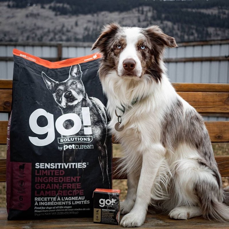 【狗主食】go! 羊肉全犬 低致敏系列 无谷 狗饲料 皮毛保健 - 狗罐头/鲜食 - 新鲜食材 