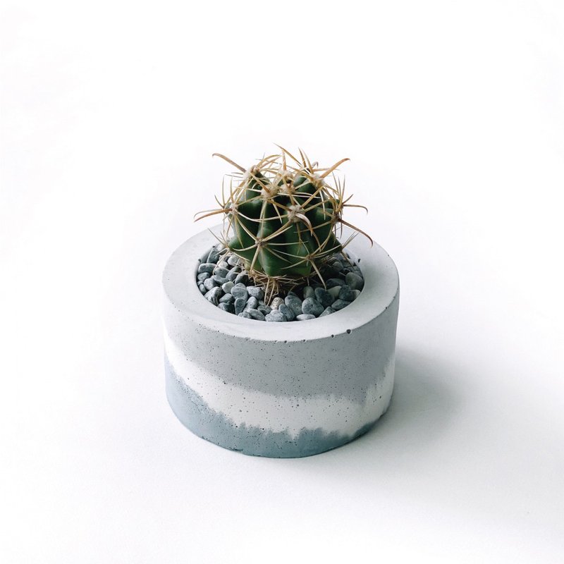 (现货) 莫兰迪蓝系列 | 象牙丸 圆形三色不规则渐层水泥多肉植栽 - 植栽/盆栽 - 植物．花 蓝色