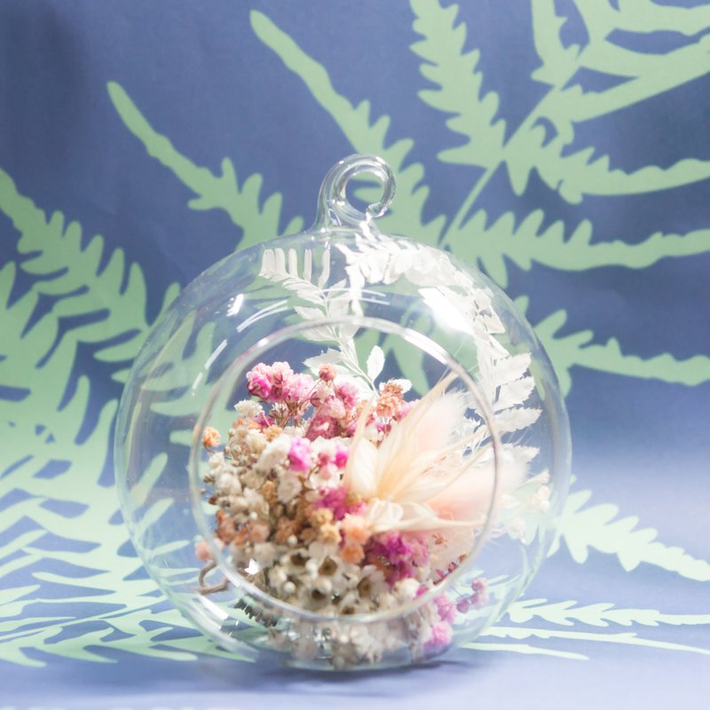 大弹珠干燥花 - 秋天 - 植栽/盆栽 - 玻璃 橘色