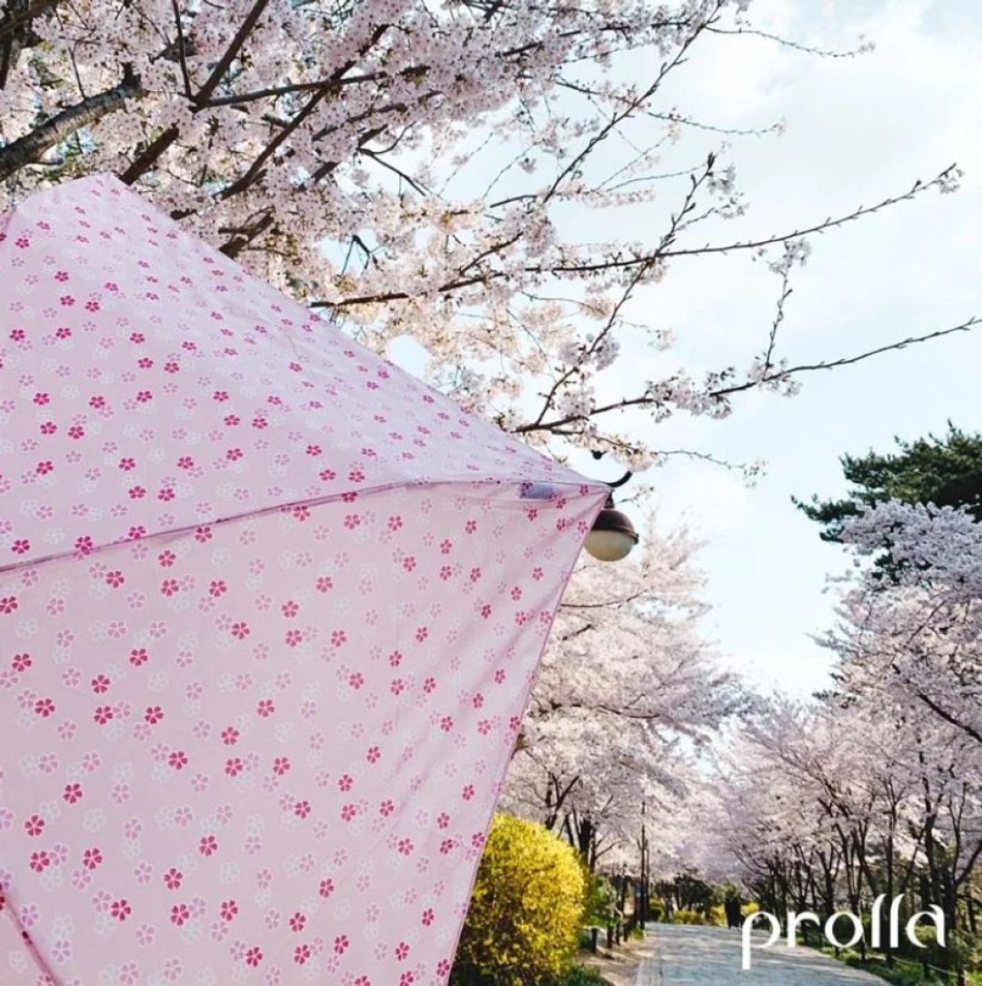 日本日系樱花  极细钢笔伞 轻量手开折叠伞 抗UV防风晴雨伞 - 雨伞/雨衣 - 防水材质 