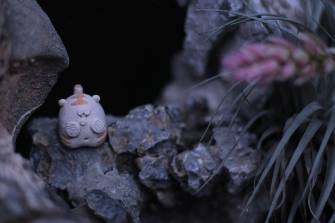 小老虎 - 摆饰 - 陶 咖啡色