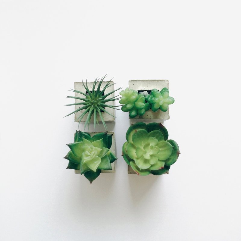 混凝土盆栽磁铁 - 多肉系列组 Plant Magnet - 植栽/盆栽 - 水泥 