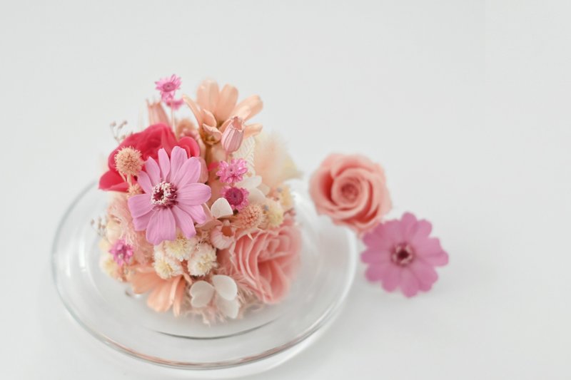 把最好的都给你 永生花系列作品  LOVELY - 干燥花/捧花 - 玻璃 粉红色