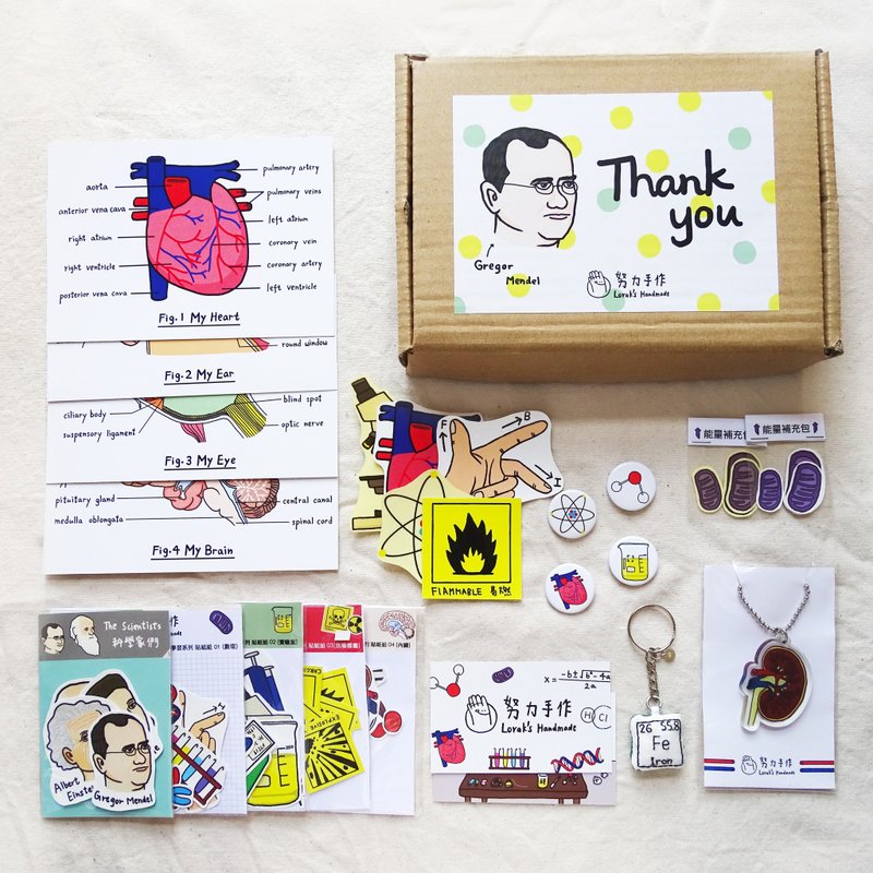 Goody Bag - 知识锦囊 - 贴纸 - 纸 