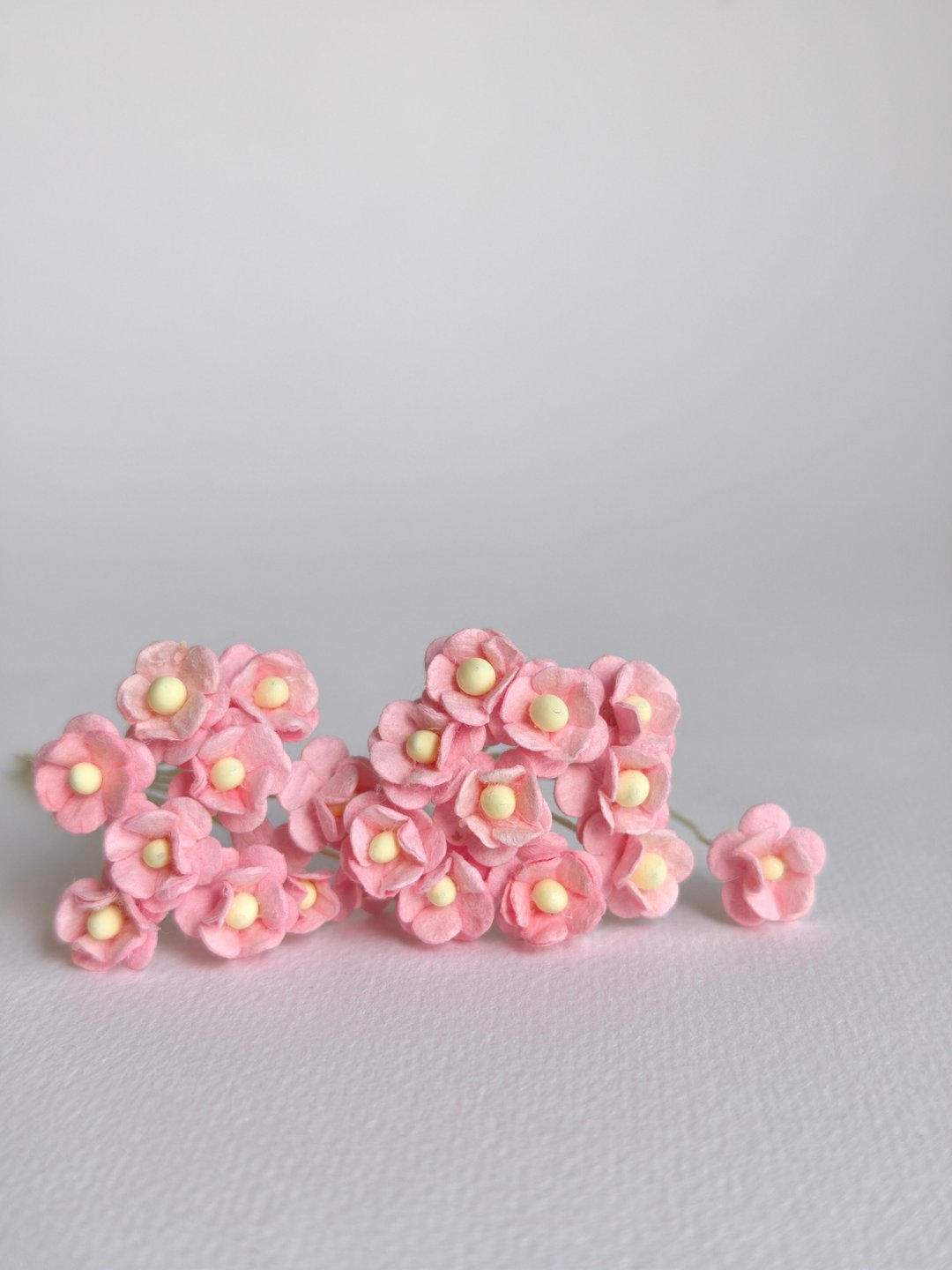 纸花，用品，100 件。加拿大海葵尺寸 0.8 厘米，粉桃红 - 其他 - 纸 粉红色