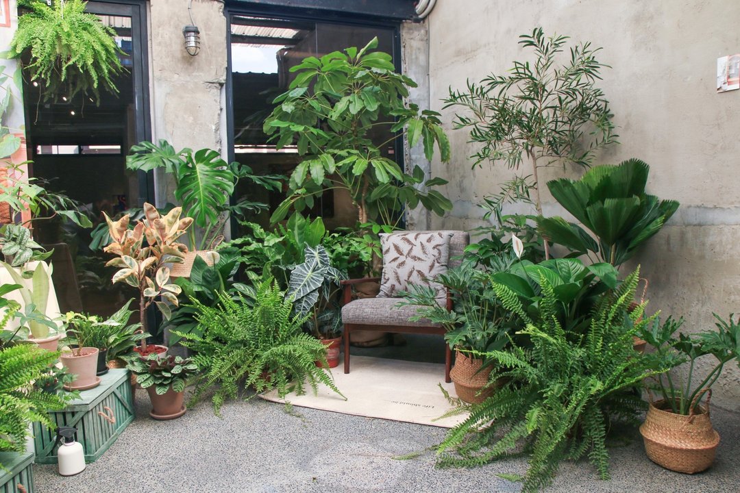 【展场绿化设计】19度C巷弄里的三号公寓(with Lofi-house) - 植栽/盆栽 - 植物．花 