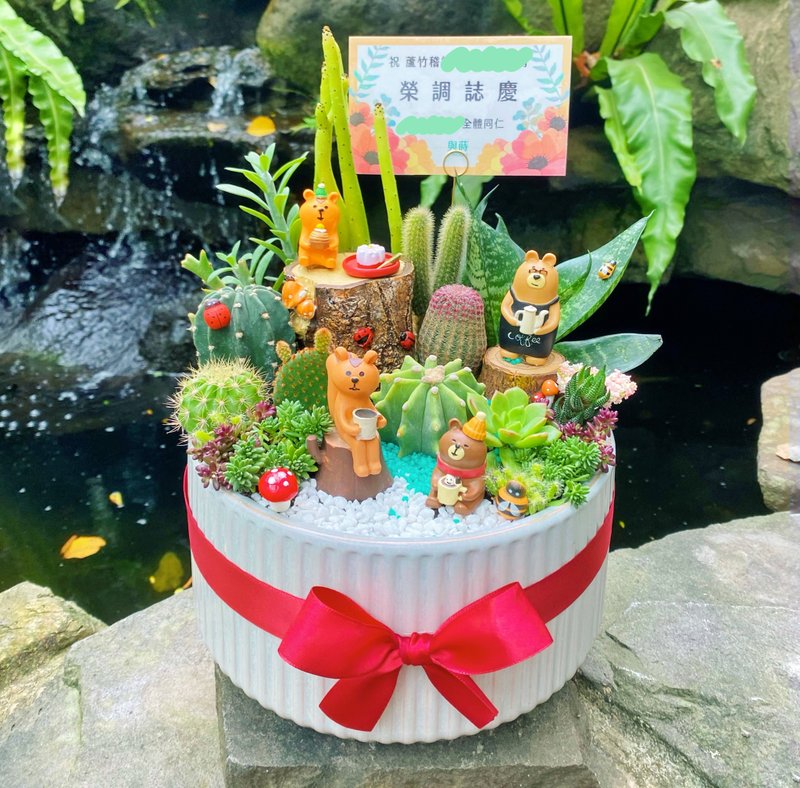 【急单可】森林午茶 多肉植物仙人掌/室内植物/免费卡片/安全运送 - 植栽/盆栽 - 植物．花 绿色