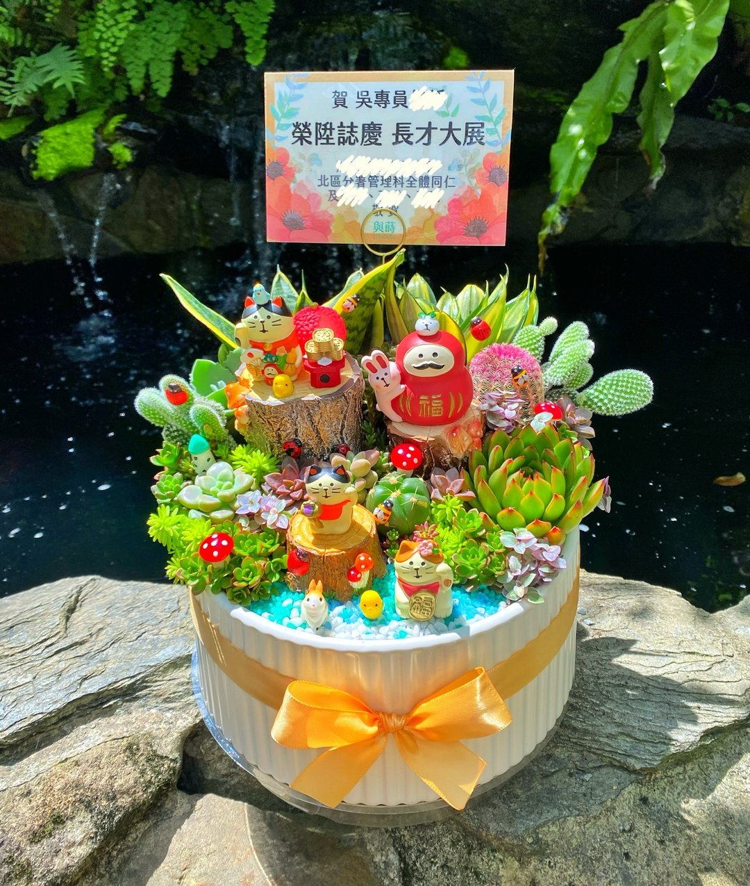 【急单可】森林午茶 多肉植物仙人掌/室内植物/免费卡片/安全运送 - 植栽/盆栽 - 植物．花 绿色