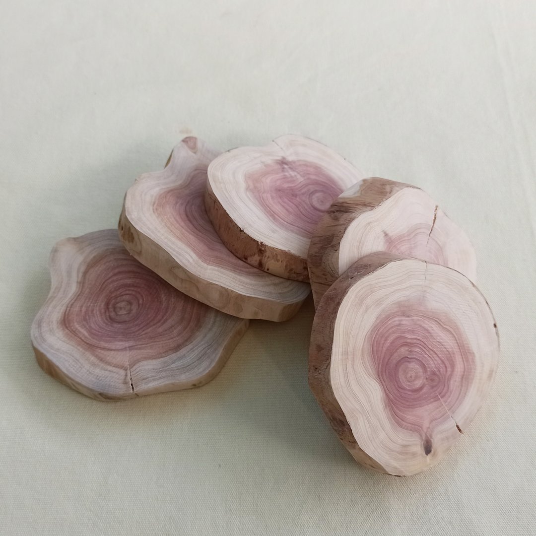 台湾龙柏木片杯垫(尺寸9~10厚1.5~1.7CM) - 摆饰 - 木头 卡其色