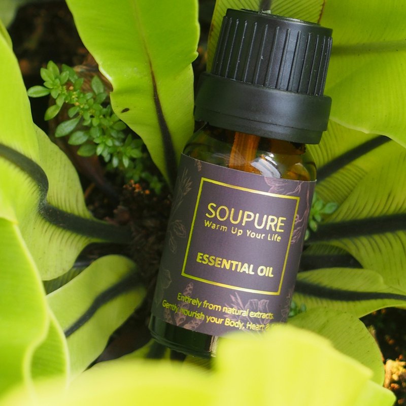 溯璞家品 漫步在云端 安定心灵   好好睡觉精油　五入组 - 香薰/精油/线香 - 精油 咖啡色