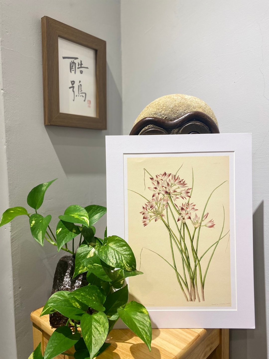 本店独立印制英国古典植物图鉴Flower Garden 花卉插画 - 海报/装饰画/版画 - 纸 