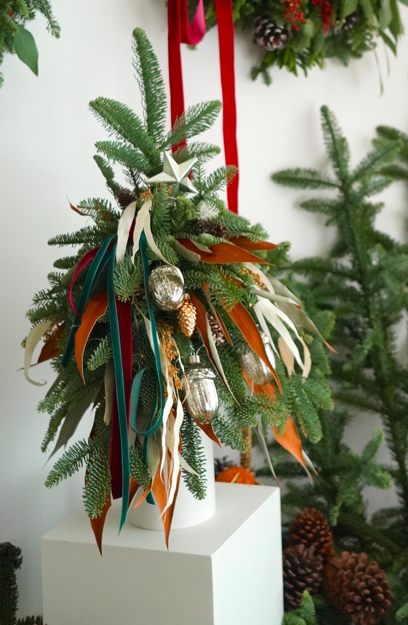 桌上型诺贝松圣诞树 - 植栽/盆栽 - 植物．花 绿色