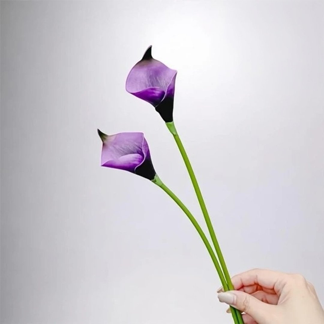 气质仙女深紫色海芋仿真花花材(5入组) - 摆饰 - 塑料 黄色