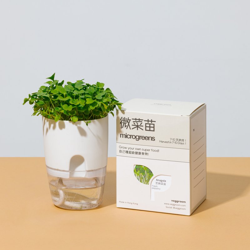 自己的菜自己种 可重用微菜苗microgreens 种植杯 - 植栽/盆栽 - 植物．花 白色