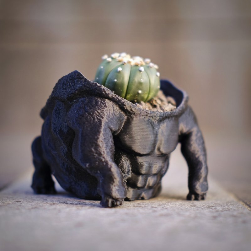 【金刚王】3d盆器 块根盆 多肉盆  3d打印 白马城 象牙宫 盆 - 植栽/盆栽 - 塑料 