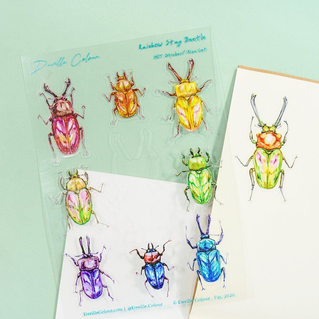 【彩虹锹形虫】水彩插画 防水白墨PET贴纸 手帐 甲虫 自然 - 贴纸 - 纸 多色