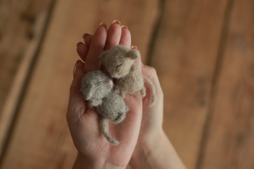 tiny mouse toy baby shower gift, newborn photo prop set, stuff animal for baby - 玩具/玩偶 - 羊毛 卡其色