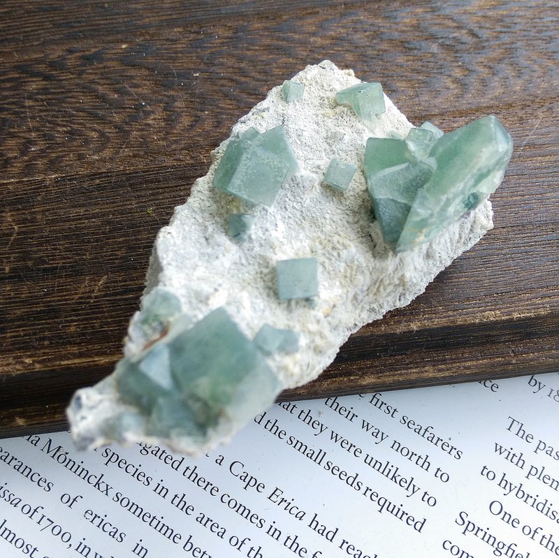Fluorite 内蒙产地 莫兰迪绿 绿萤石 天然矿石 原矿 - 摆饰 - 其他材质 