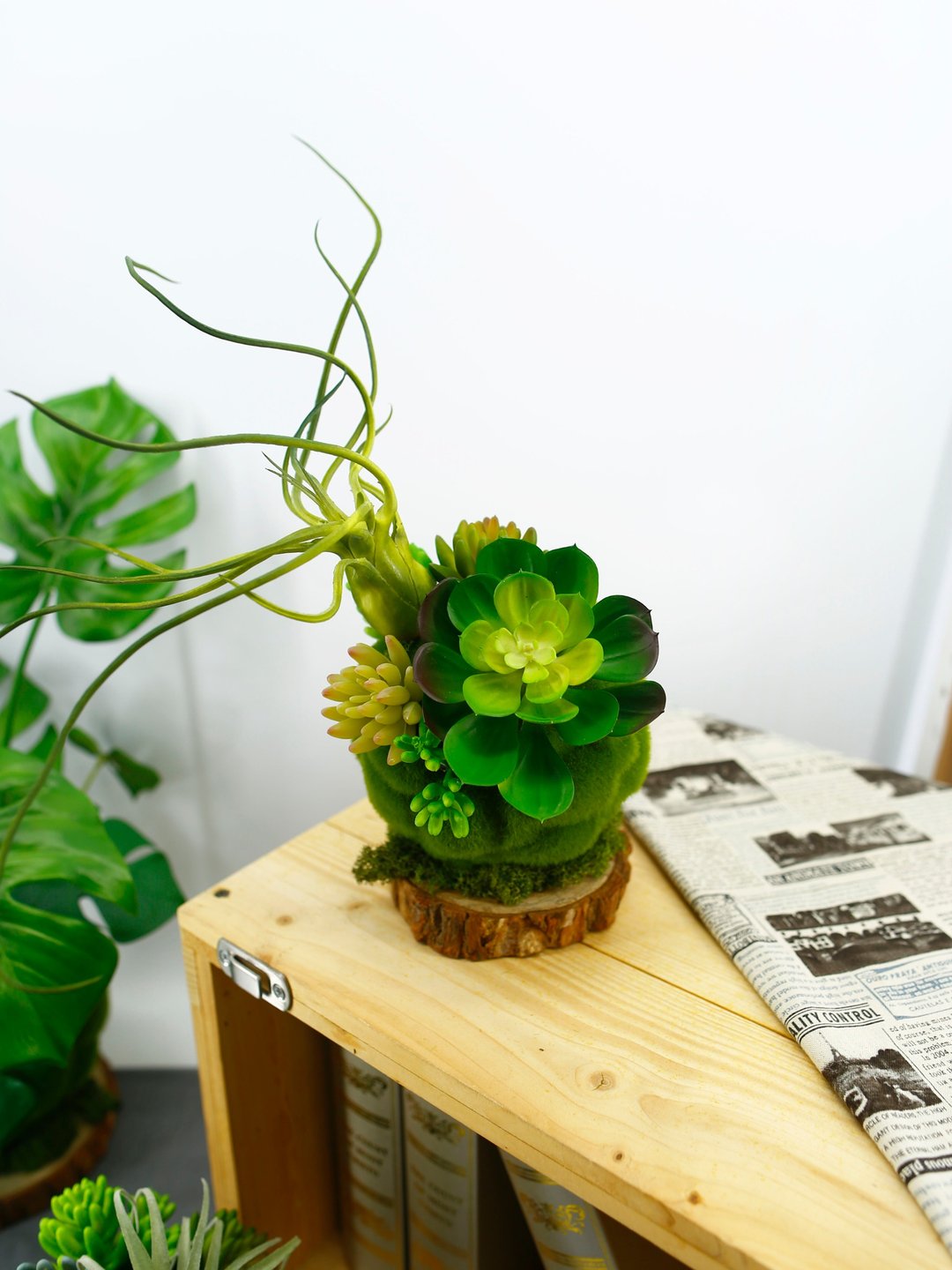 多肉植物青苔球 / 拟真植栽 / 开幕乔迁送礼 / 永不凋零 - 植栽/盆栽 - 其他材质 多色