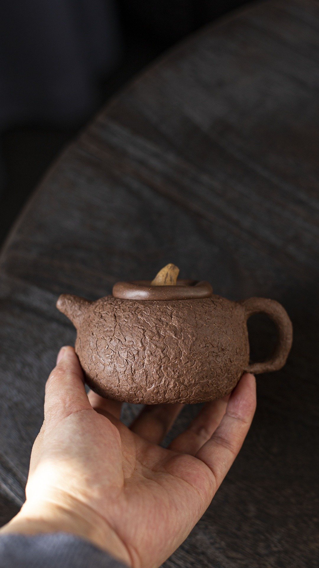 香菇供春 容量200cc原矿老段泥 全手工制作 创新型题材 - 茶具/茶杯 - 陶 灰色