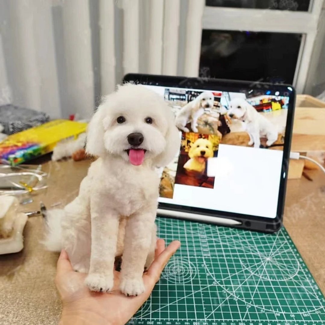 定制 逼真犬 毛孩 宠物 比熊犬 羊毛毡 娃娃 似颜绘 纪念 狗狗 /5 - 玩具 - 羊毛 多色