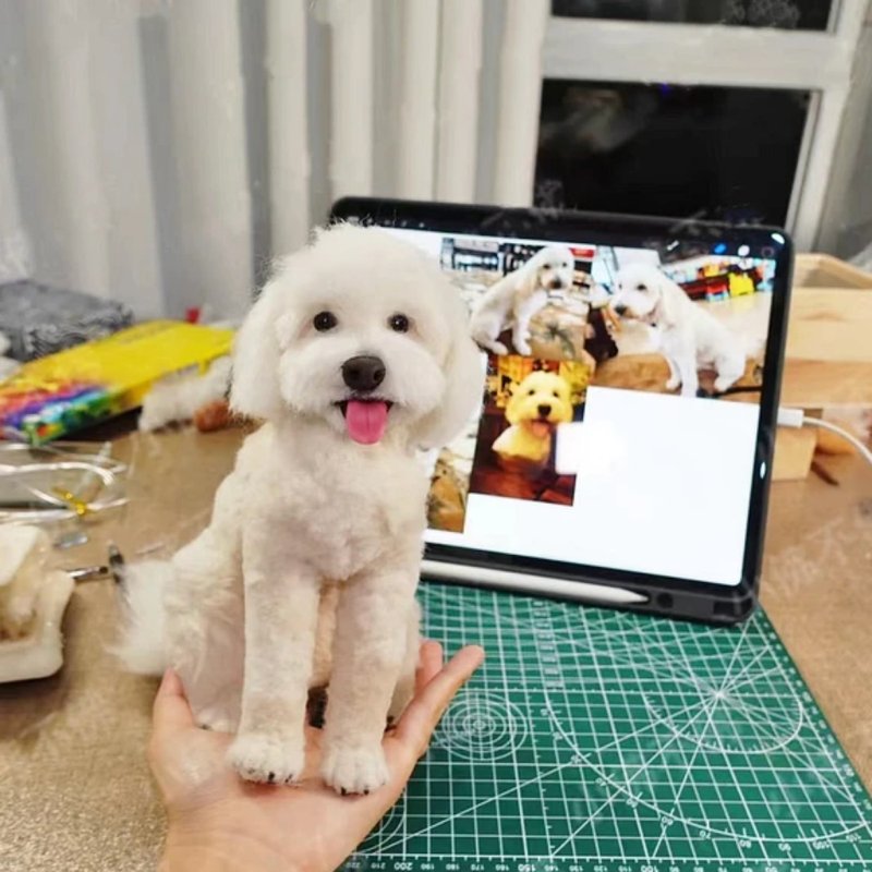 客制化逼真羊毛毡宠物娃娃 定制手工复刻狗狗猫咪毛小孩肖像公仔 - 玩具 - 羊毛 多色