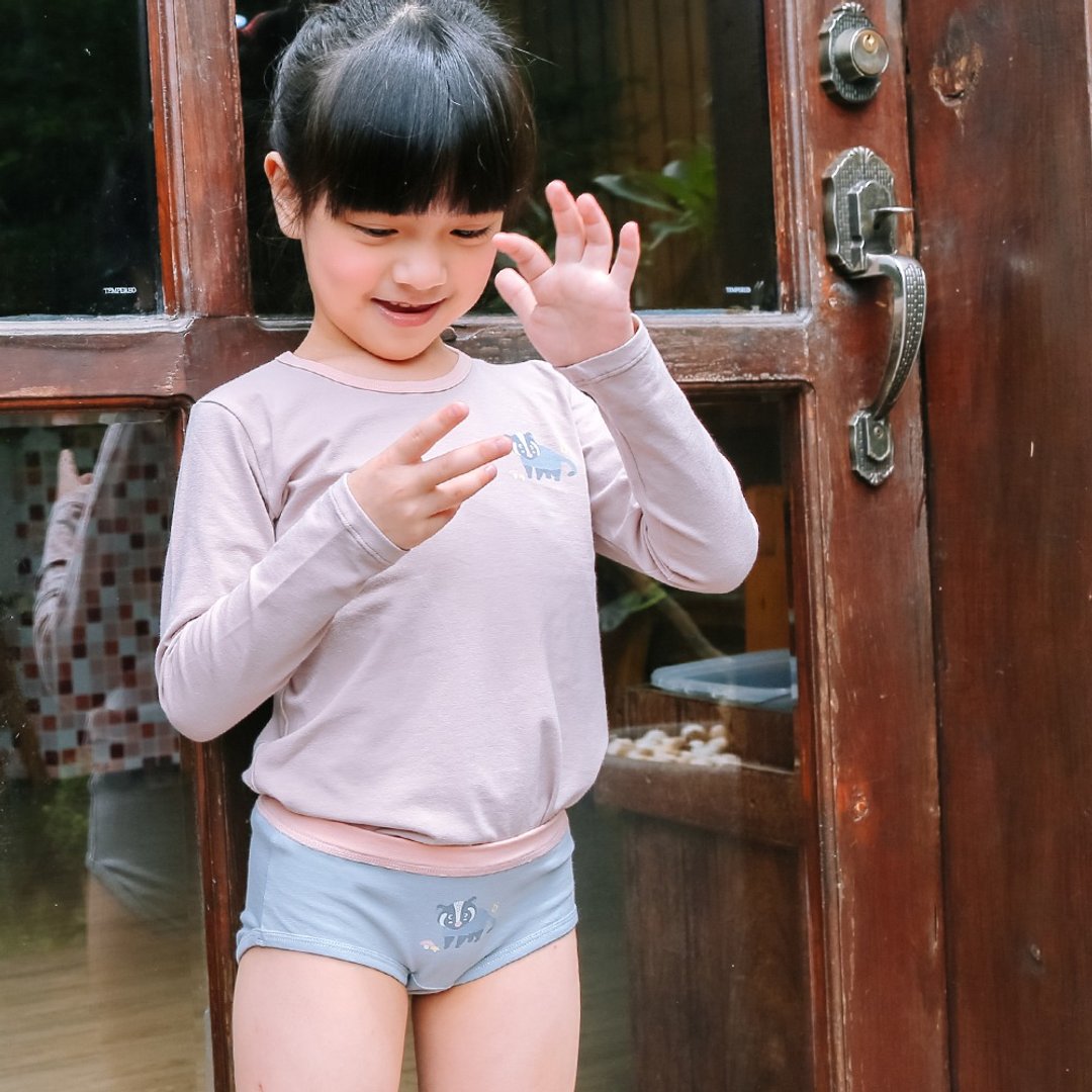 女童三角内裤-憨厚老实的白鼻心 - 童装上衣 - 棉 灰色