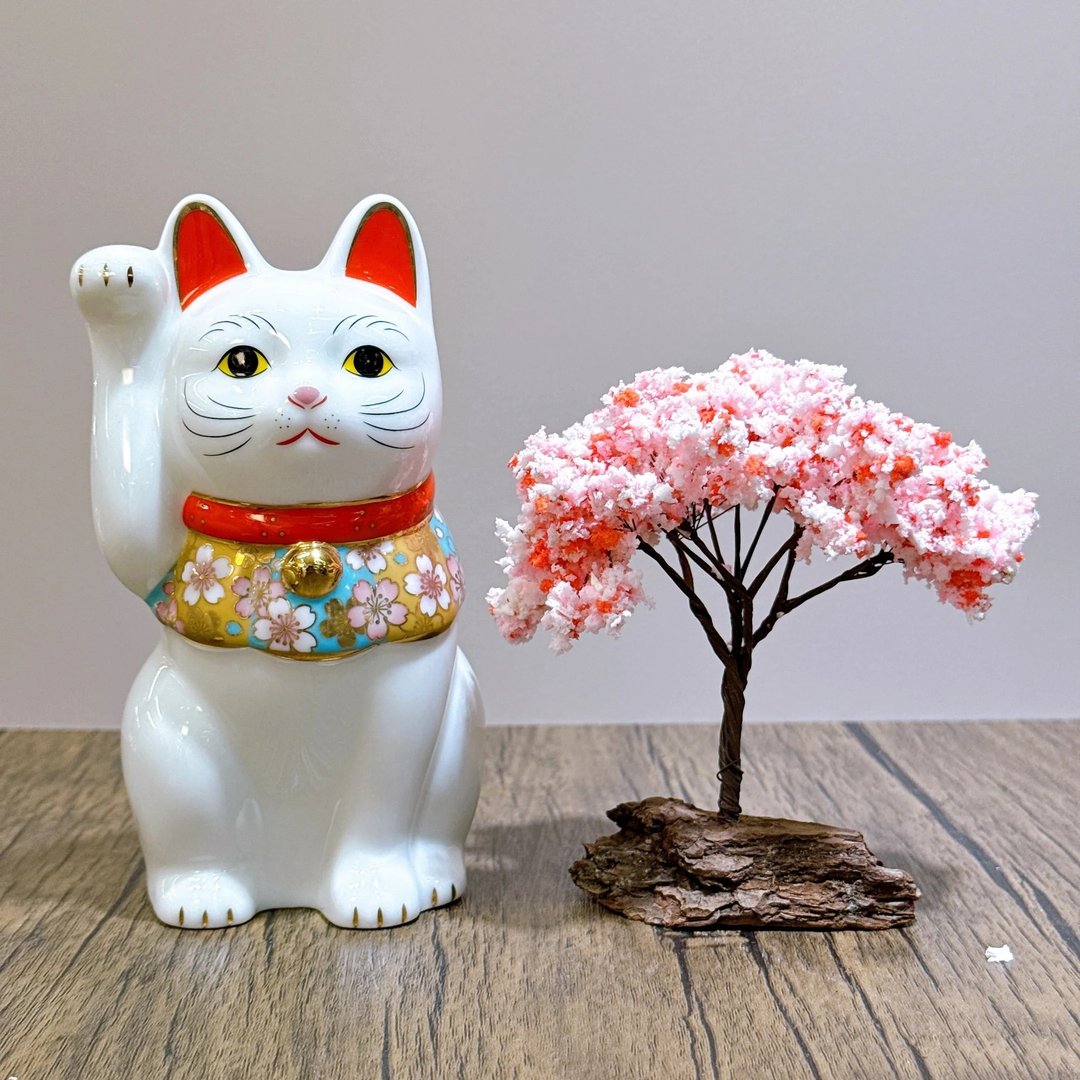 【福猫萌心】日本药师樱花招财猫 中号 - 摆饰 - 瓷 白色