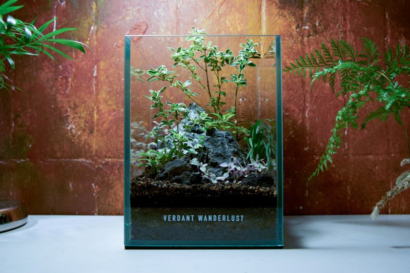 【生态缸－霜染青峰】微景观 室内植栽 礼物 办公室摆设 - 植栽/盆栽 - 玻璃 绿色
