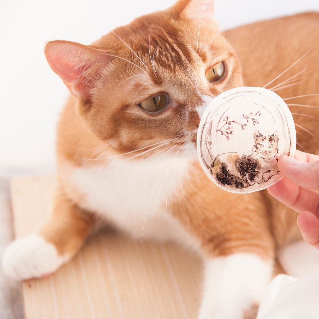 水墨猫咪和纸贴纸 - 窗边的猫 - 贴纸 - 纸 灰色