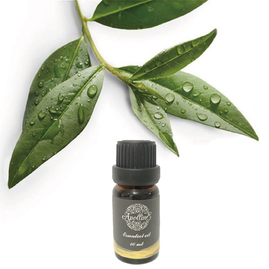 茶树精油 TEA TREE - 香薰/精油/线香 - 精油 
