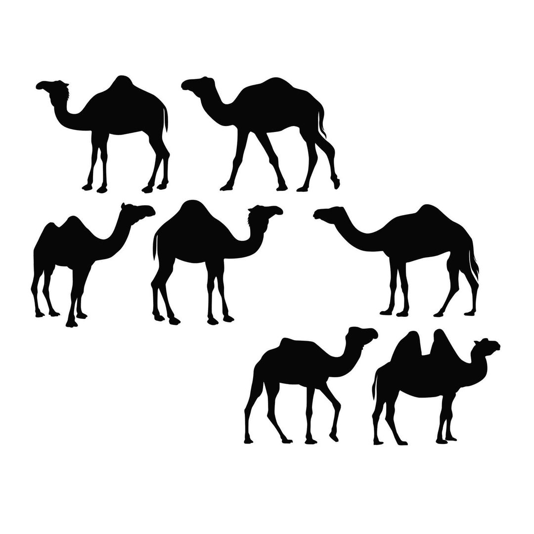 Camel svg, camels svg, camel template, camel pdf, camel png, camels png, Cricut - 图文模板设计 - 其他材质 