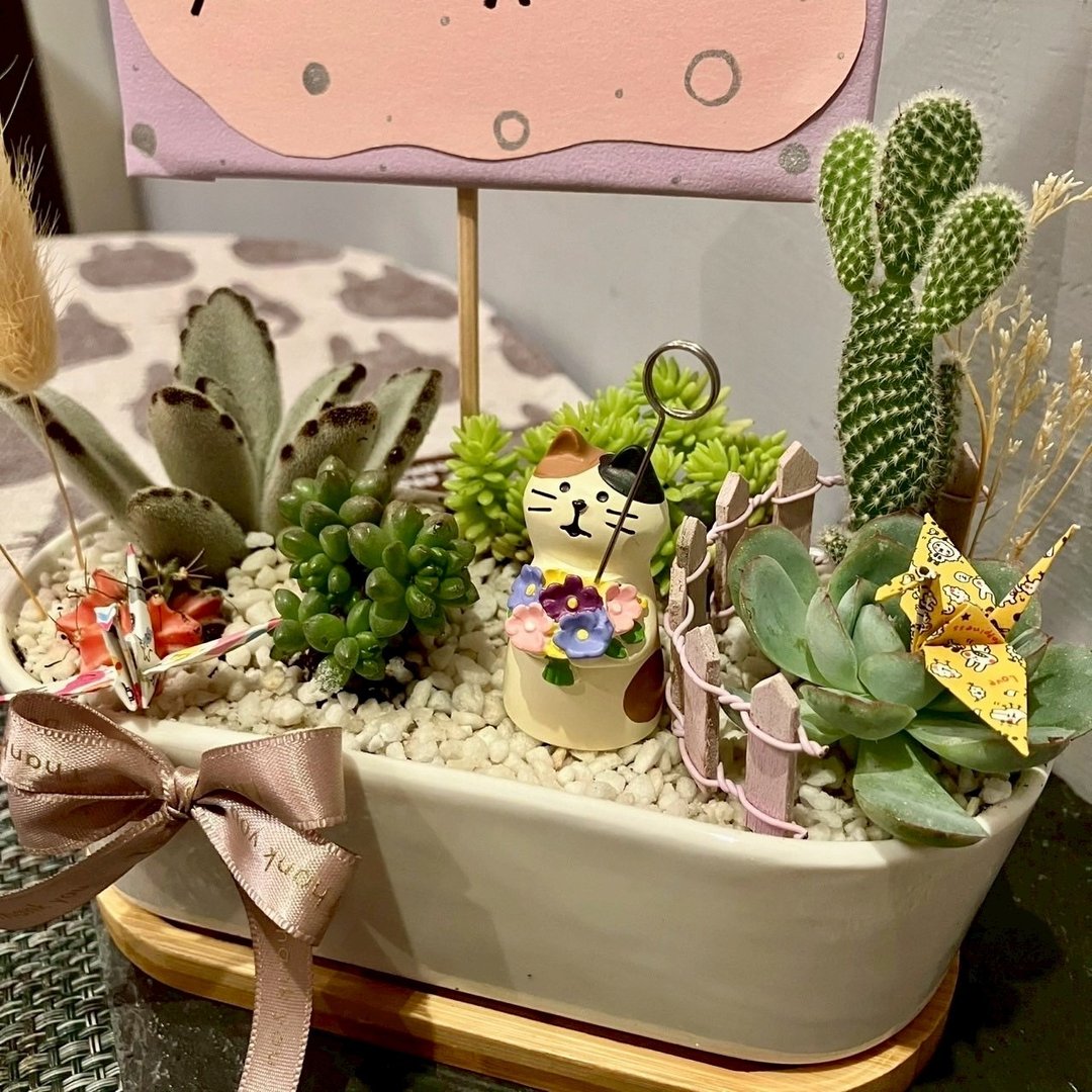 粉紫捧花 猫 台中多肉组盆 多肉植物 植栽送礼 生日 日本decole - 植栽/盆栽 - 植物．花 绿色