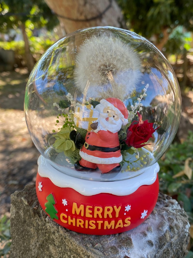 永生蒲公英圣诞快乐小夜灯 - 干燥花/捧花 - 植物．花 