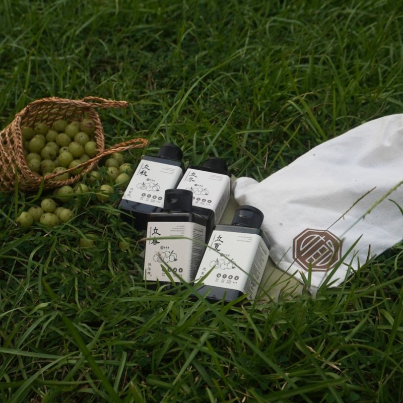 节气洗沐旅行组 (洗发精/沐浴精100mlx4入) 快速出货 - 沐浴用品 - 其他材质 卡其色