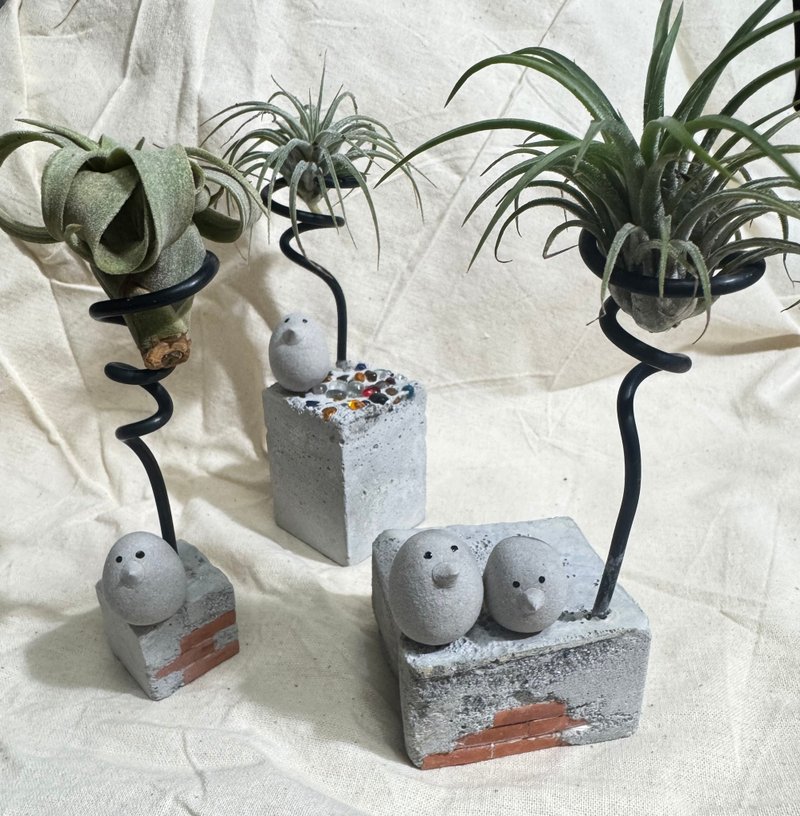 空气凤梨架 疗愈小物3个一组 - 花瓶/陶器 - 水泥 