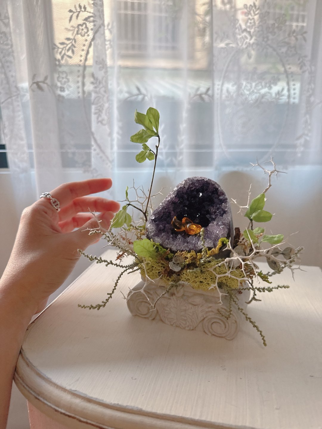文艺复兴_紫晶镇  紫水晶窝窝 金元宝的家 - 植栽/盆栽 - 水晶 紫色