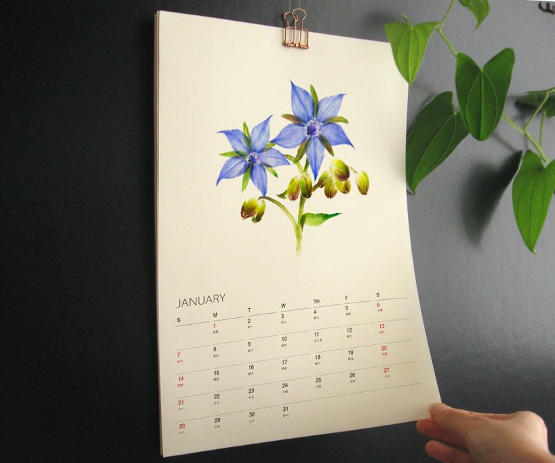 Kitchen Garden 2026年历挂历 给植物爱好者的治愈礼物 3 - 年历/台历 - 纸 绿色