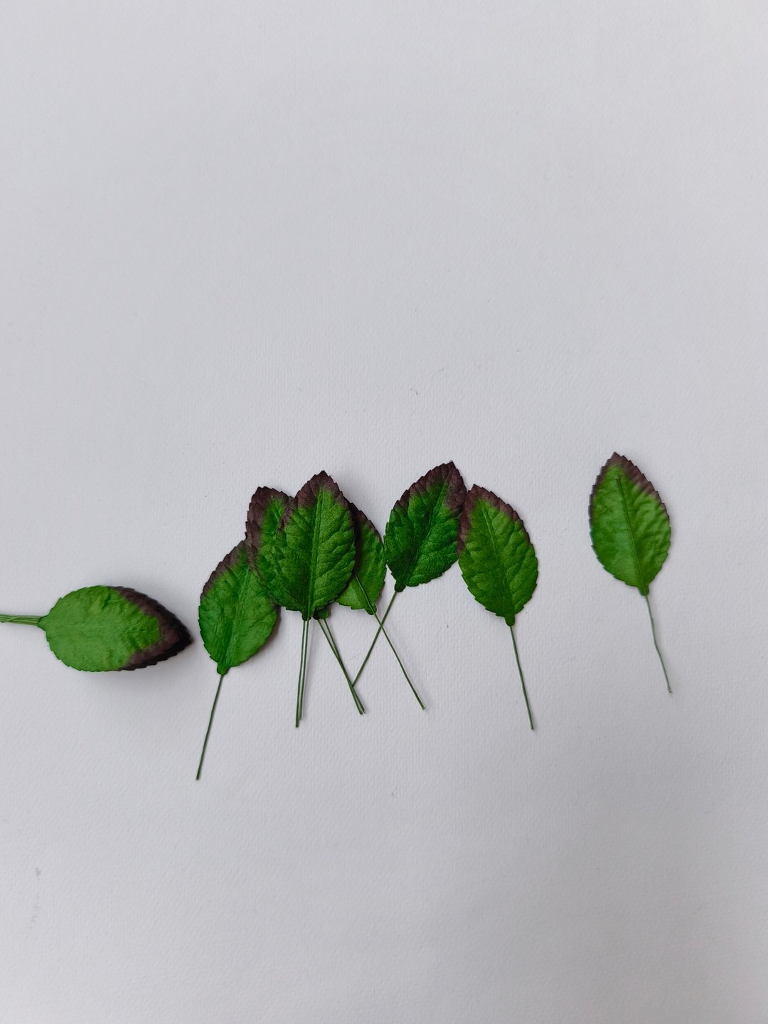 纸花，礼物装饰DIY用品：50片，深绿色玫瑰叶 - 其他 - 纸 绿色