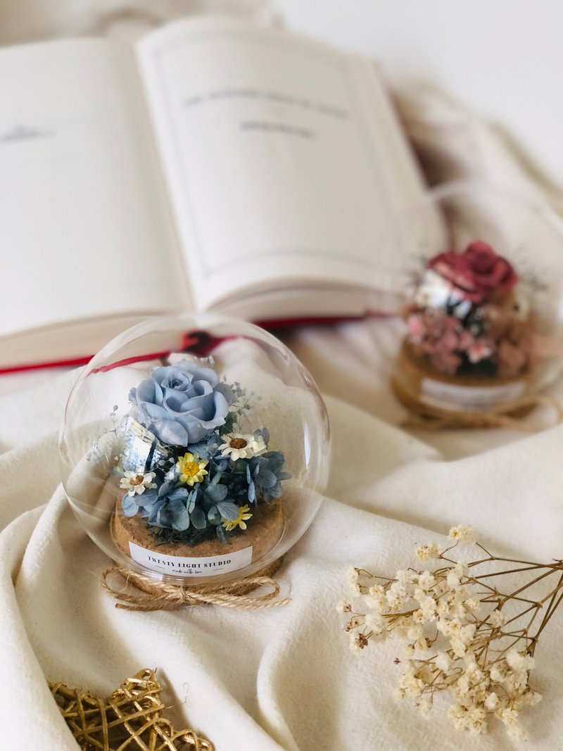 迷你魔法星球 宝宝蓝款 - 干燥花/捧花 - 植物．花 蓝色