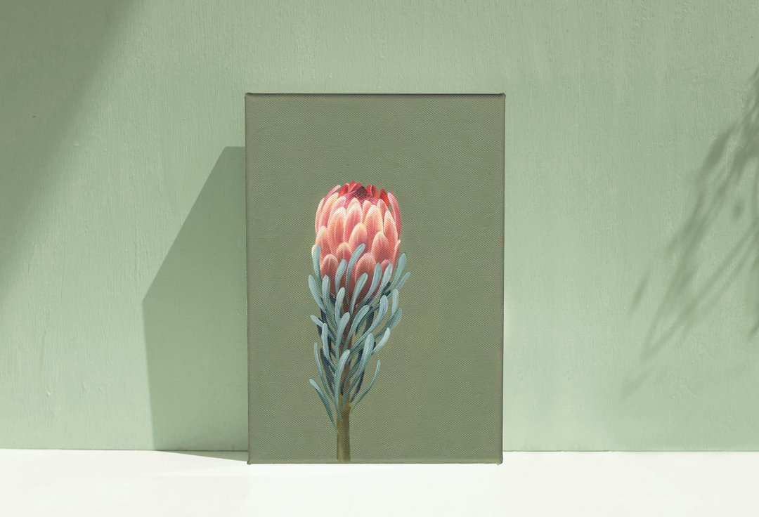【体验】台中油画体验课程/四季花令 - 帝王花/台中画室 - 插画/绘画/写字 - 棉 
