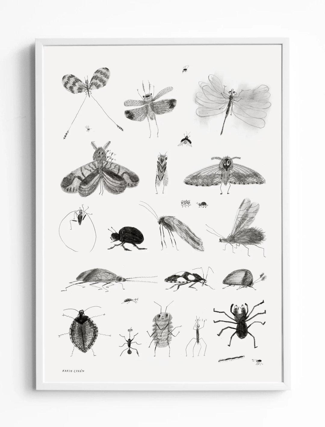 Karin Cyrén  - 瑞典艺术家设计海报 BUGS POSTER 昆虫蛾 - 海报/装饰画/版画 - 纸 黑色