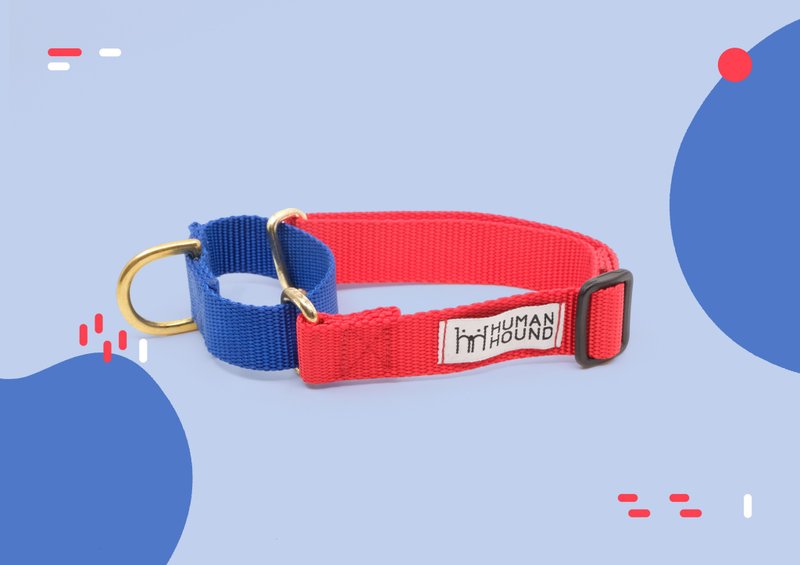 Martingale Collar - Blue x LightRed - 项圈/牵绳 - 尼龙 红色