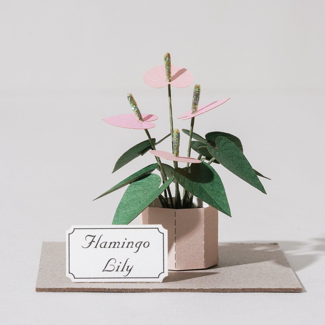 【火鹤花】 纸模型 纸植栽 材料包 纸风景 S| 9028406 - 木工/竹艺/纸艺 - 纸 