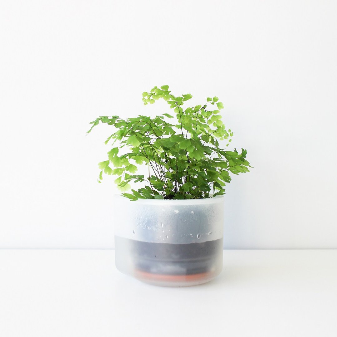 耕作之盆 Self-Watering 懒人花器 单盆(10.5cm-2入组) - 植栽/盆栽 - 塑料 透明