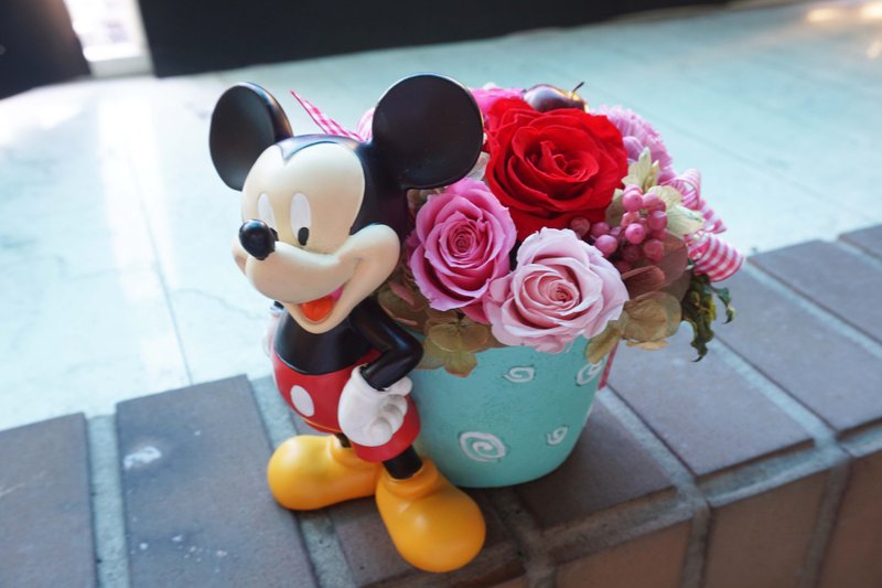 不凋花恒星花－米奇花园　餐桌花礼、办公室疗愈摆饰 *交换礼物*情人节*婚礼*生日礼物 - 植栽/盆栽 - 植物．花 红色