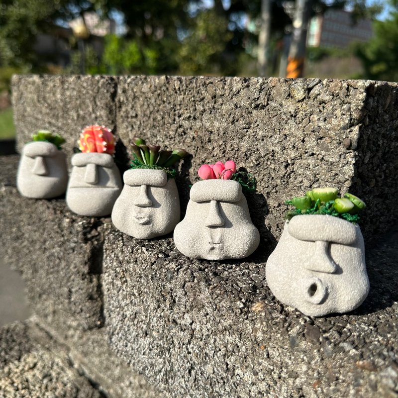 摩艾长肉肉 仿真 多肉植物 摩艾石像 毕业礼物 圣诞礼物 生日礼物 - 摆饰 - 粘土 