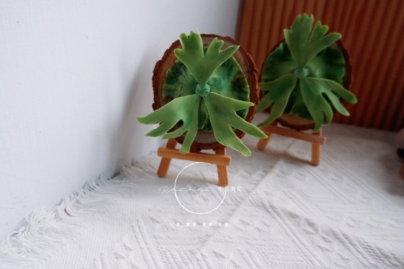 石膏扩香捏塑-鹿角蕨 - 香薰/精油/线香 - 其他材质 