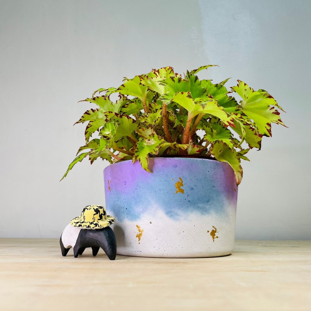 限量单品 手作厚实单品梦幻渐层蓝紫色水泥盆 - 花瓶/陶器 - 水泥 多色