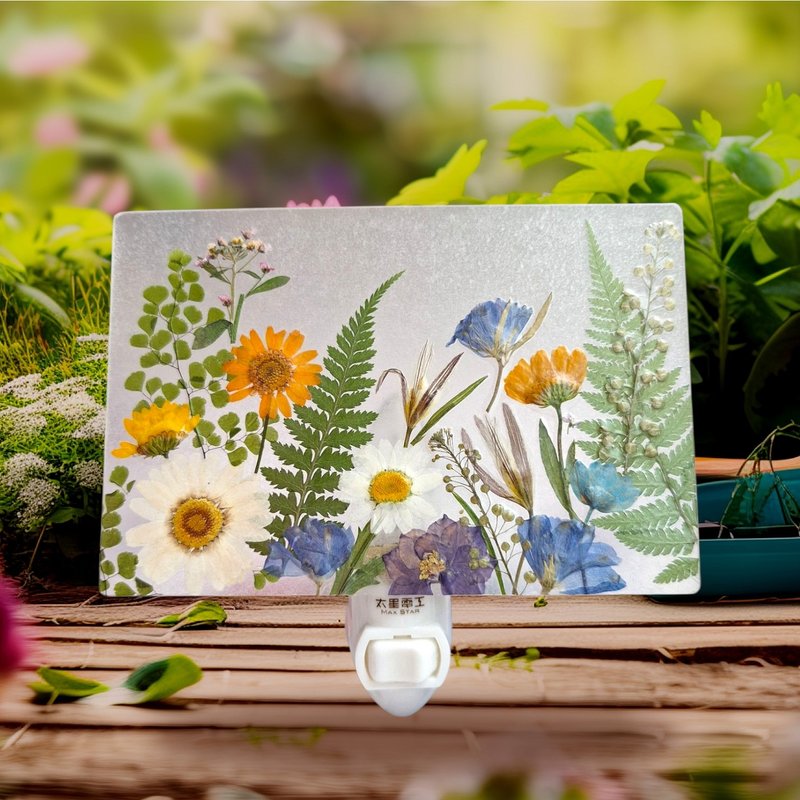 幸福手作押花小夜灯 - 梦幻植物押花小夜灯 - 灯具/灯饰 - 塑料 多色